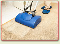 Pet Stain Cleaners