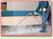Home Carpet Steam Cleaning